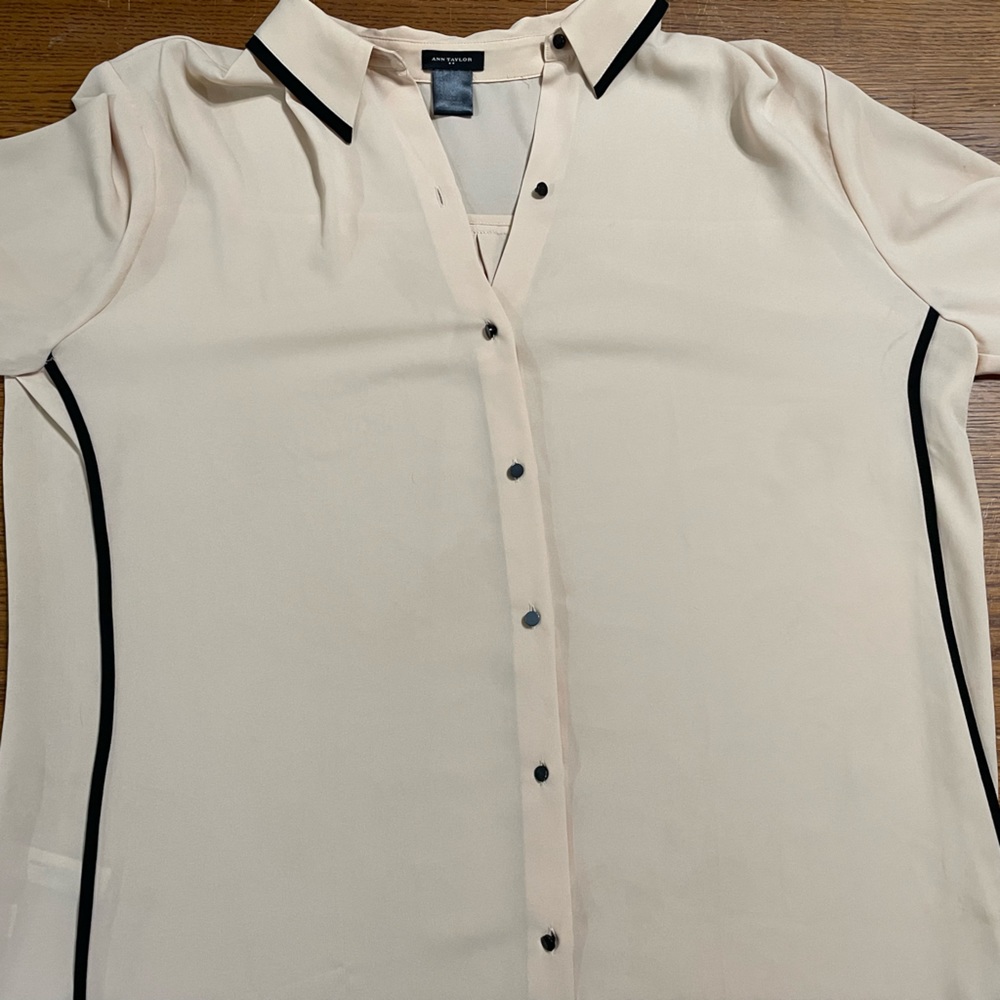 Ann Taylor Beige kind of see through shirt.